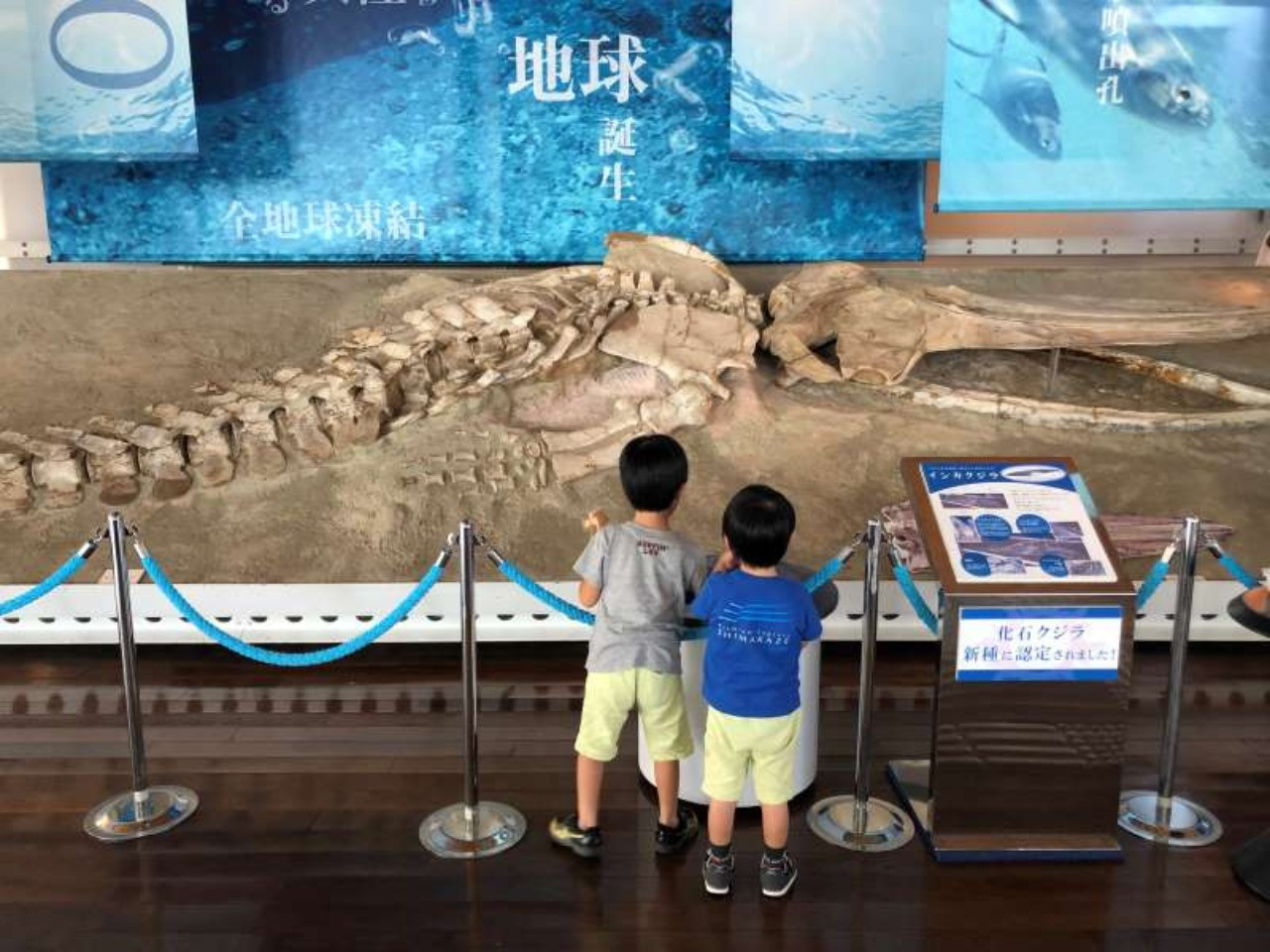 やっぱり気になる・・・会社の「休日」事情