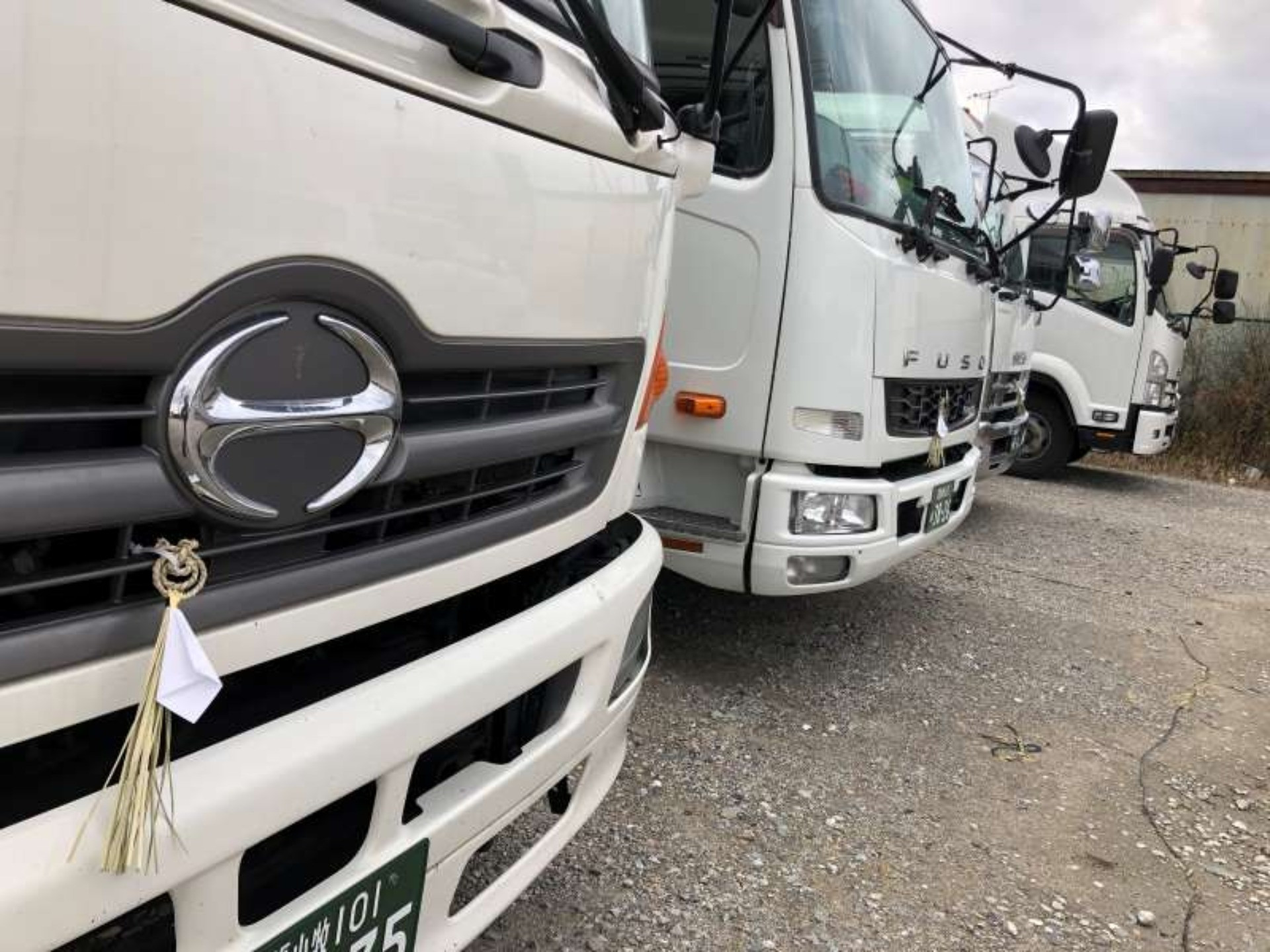 謹賀新年　足竜は走り始めました